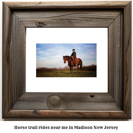 horse trail rides near me in Madison, New Jersey